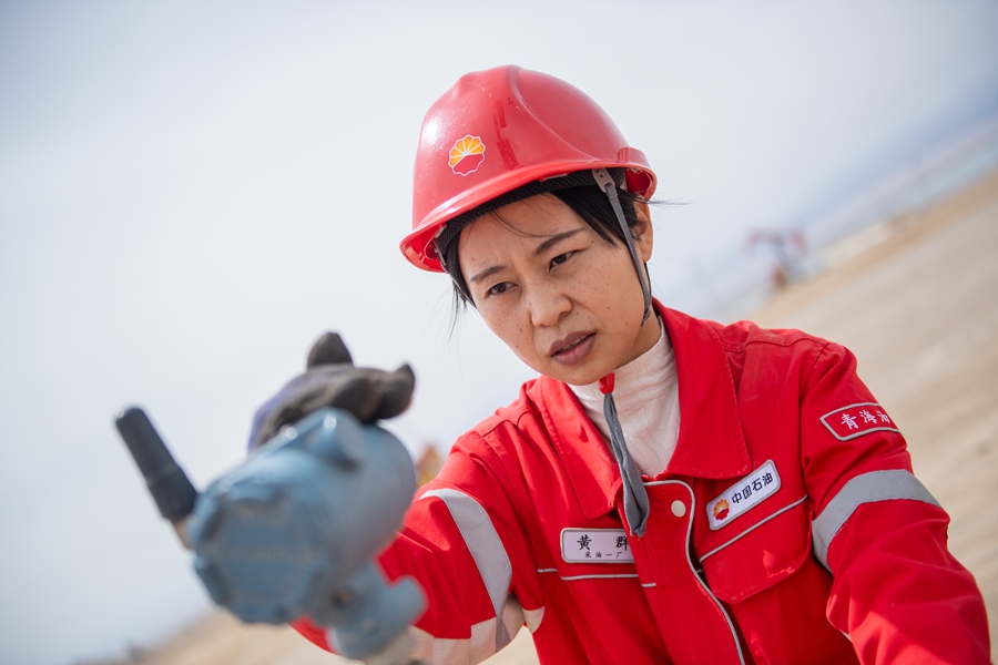 尕斯湖畔挺立“石油紅柳”