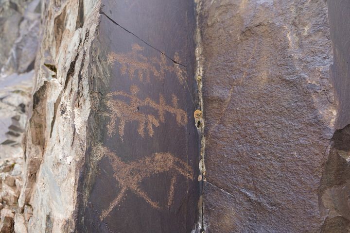野牛溝巖畫(huà)：鑿刻在崖壁上的文化密碼