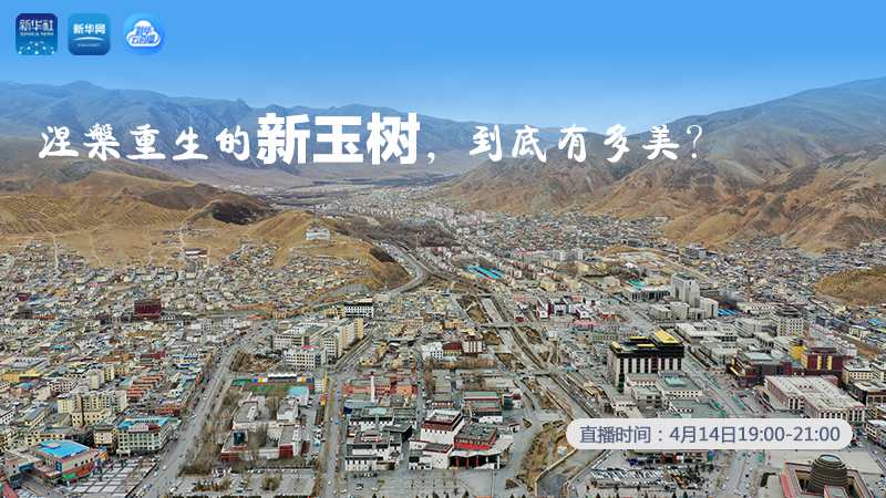 涅槃重生的新玉樹(shù)，到底有多美？