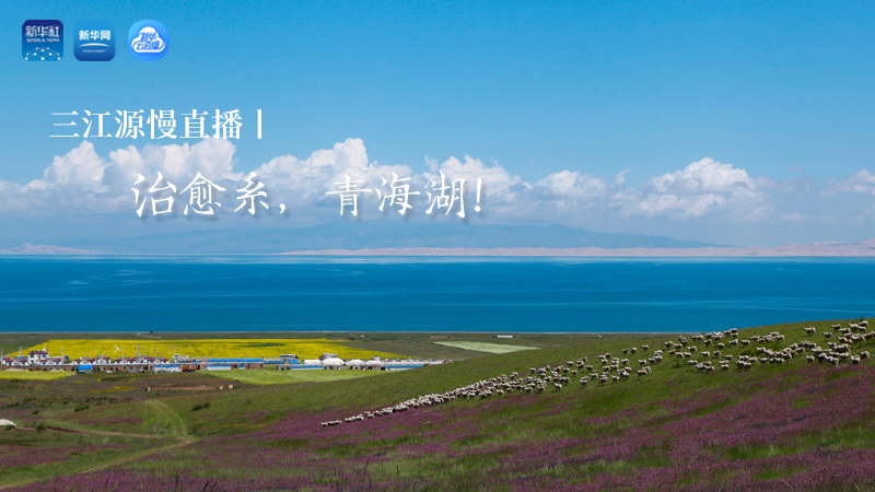 三江源慢直播丨治愈系，青海湖！