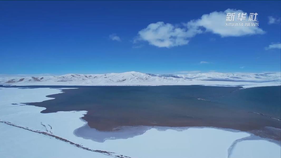 青?，敹啵憾喾N珍稀野生動(dòng)物亮相黃河源頭