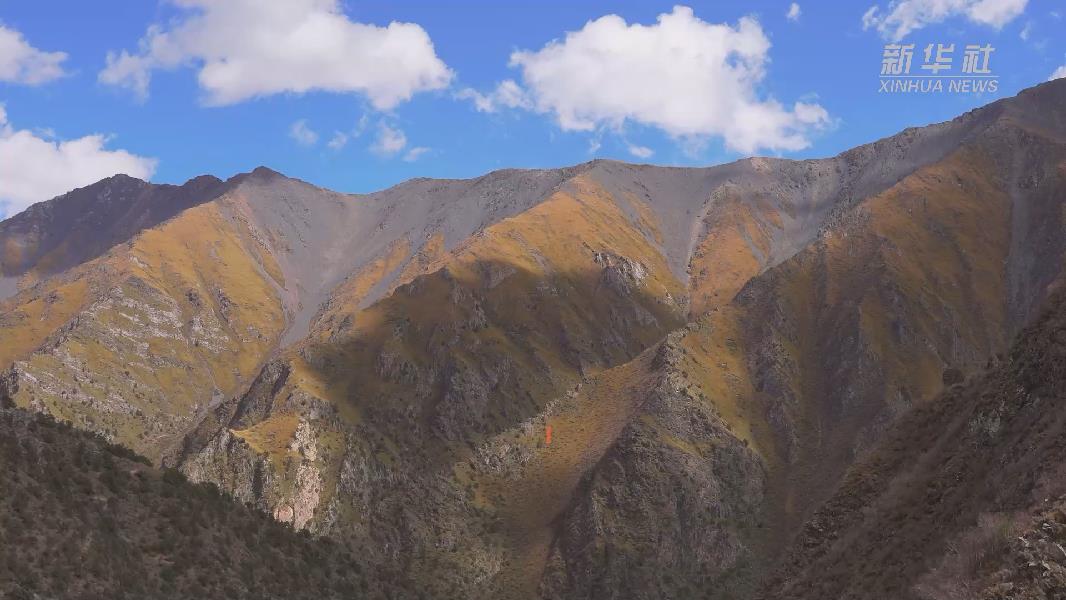 4362張照片！他們在這里堅(jiān)持10年開展雪豹種群動(dòng)態(tài)研究