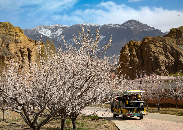青海：春到貴德國家地質公園